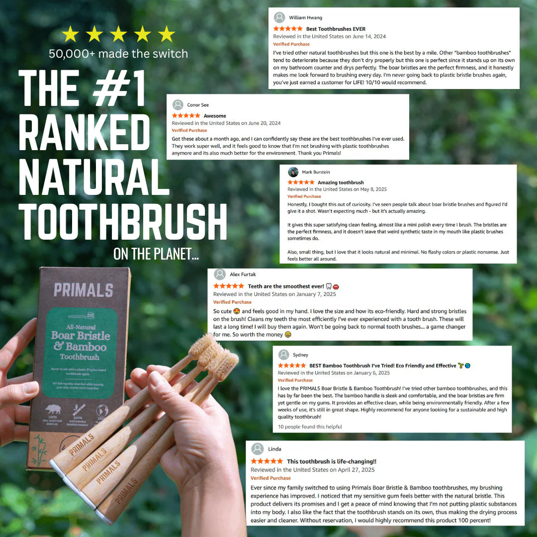 Boar Bristle & Bamboo Toothbrush (4 Pack)