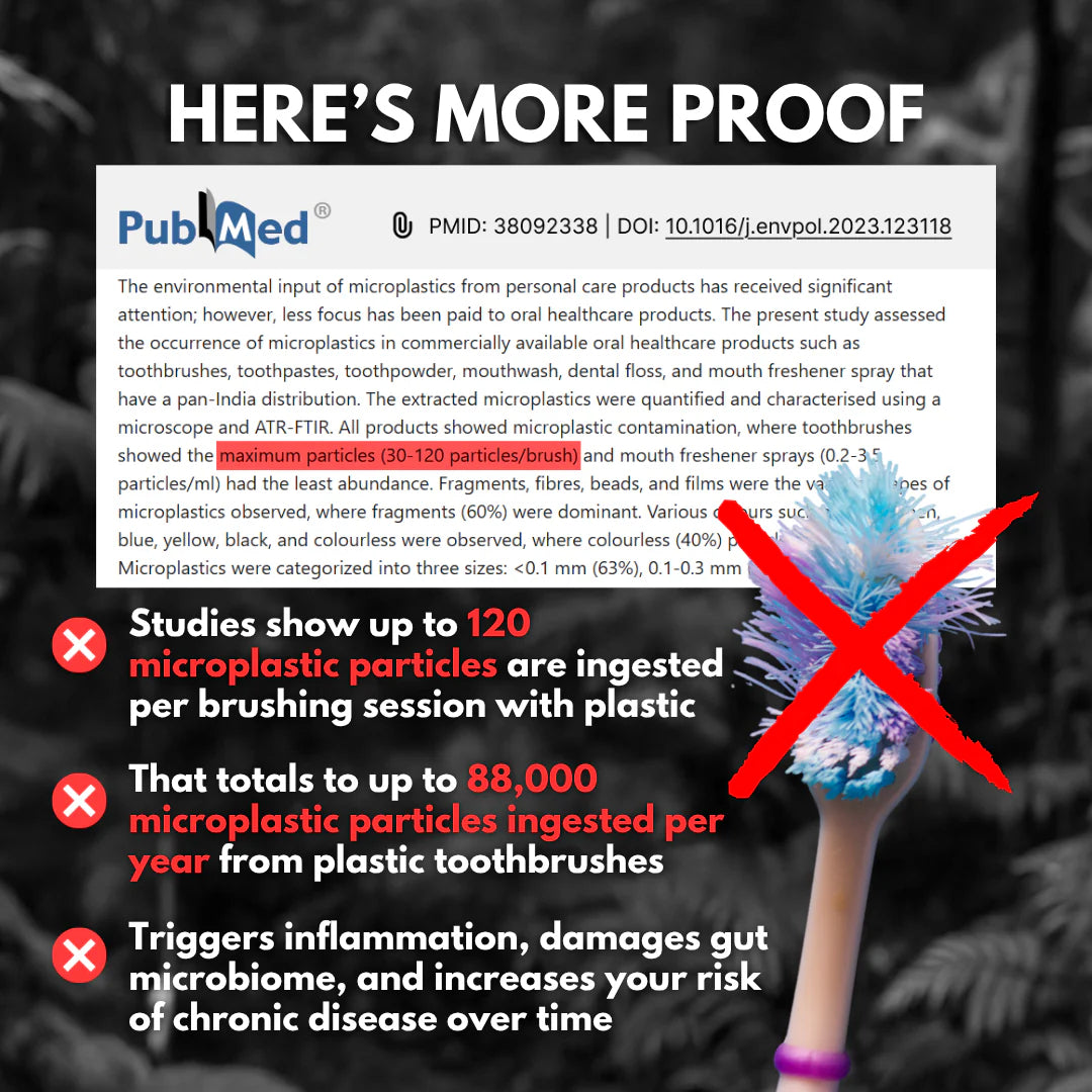 Boar Bristle & Bamboo Toothbrush (4 Pack)