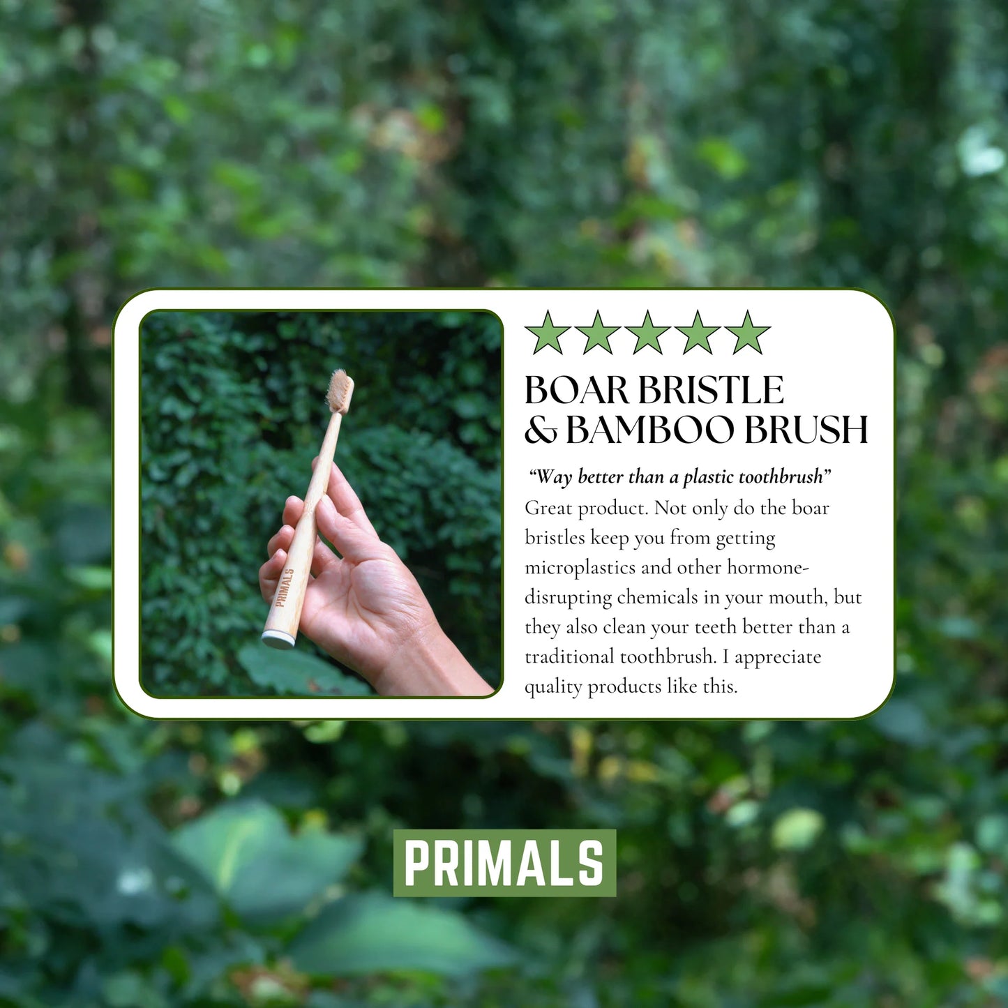 Boar Bristle & Bamboo Toothbrush (4 Pack)