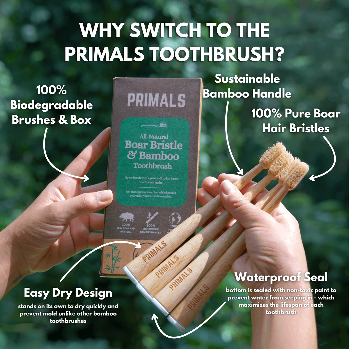 Boar Bristle & Bamboo Toothbrush (4 Pack)