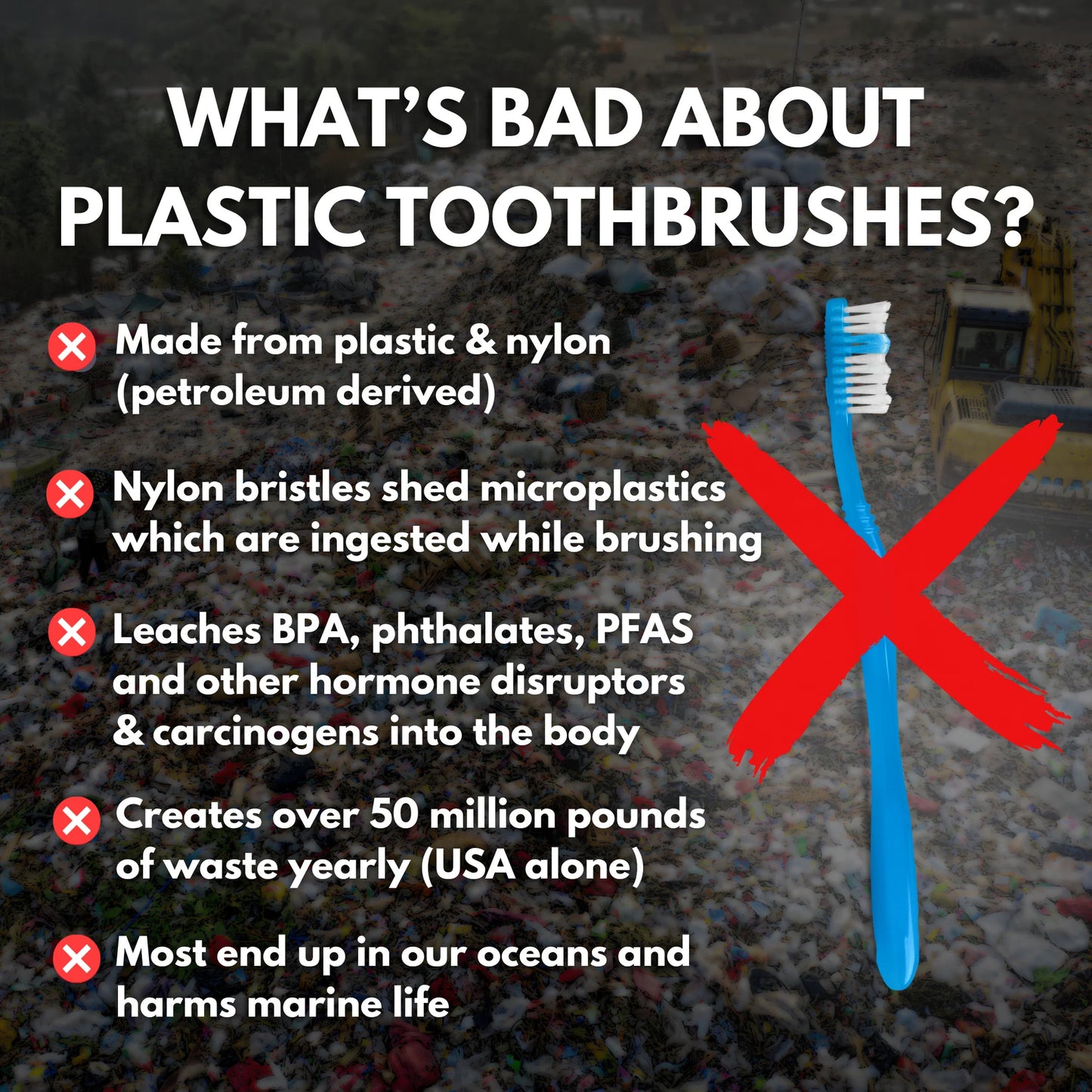 Boar Bristle & Bamboo Toothbrush (4 Pack)