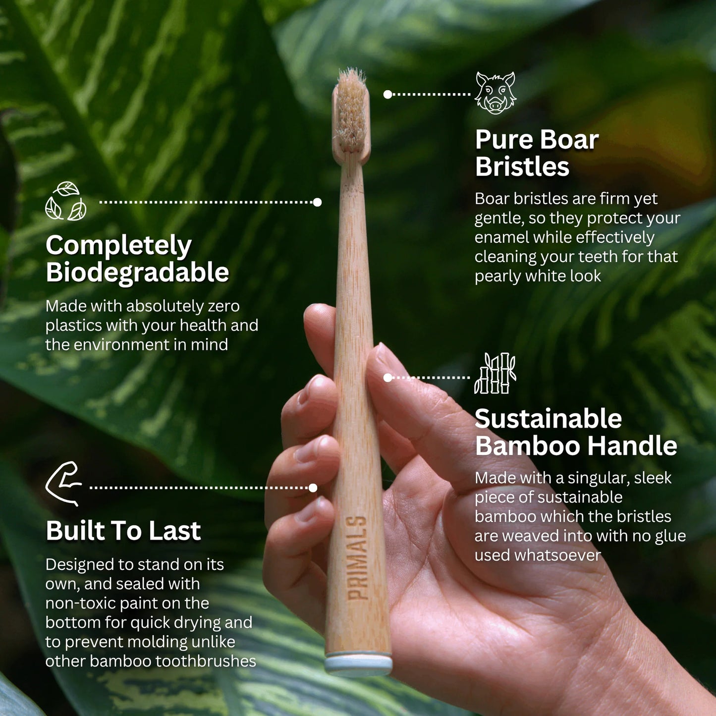 Boar Bristle & Bamboo Toothbrush (4 Pack)